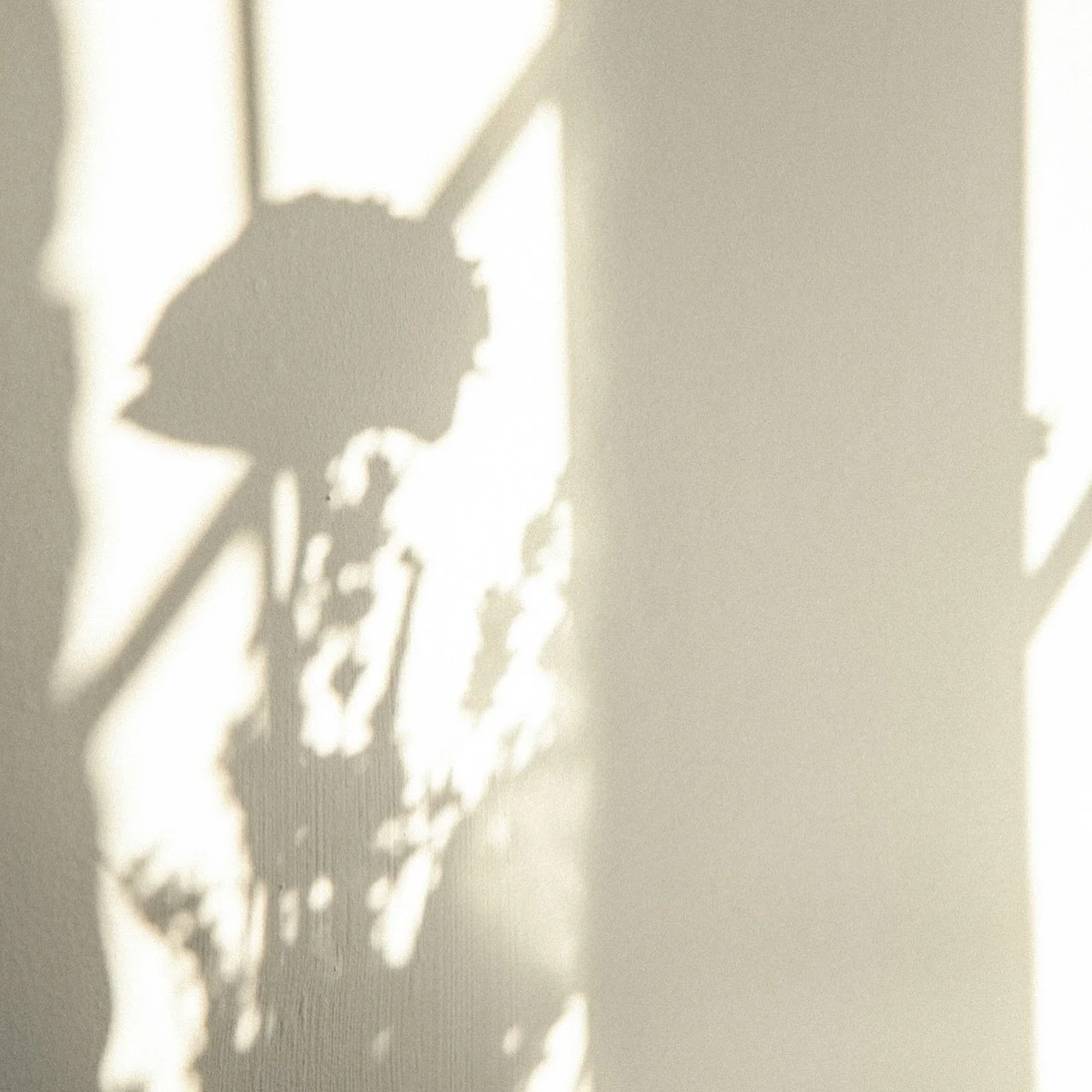 Long evenings. Gentle light.

Coming soon to the Blue Mountains.

#thebluemountains #bluemountain #georgianbay #southerngeorgianbay #collingwood #thornbury #meaford #owensound #clarksburg #greycounty #beavervalley #greybruce #eventvenu #bluemountaine