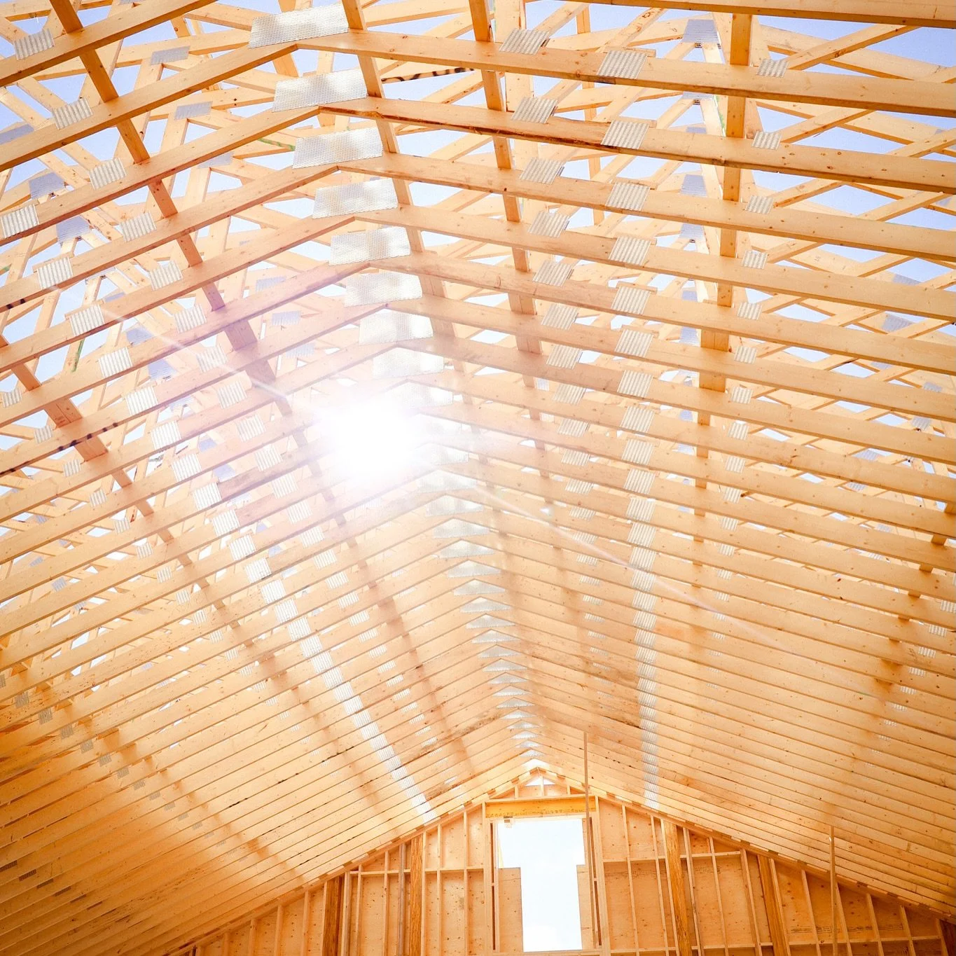 Progress at The Woodrow. 

captured by @fourteencoats 

@valleyview_construction 

#thewoodrow #southerngeorgianbay #bluemountainsontario #collingwoodcntario #thornburyontario #ontarioeventvenue #georgianbay #ontarioweddingvenue #bluemountainswedding