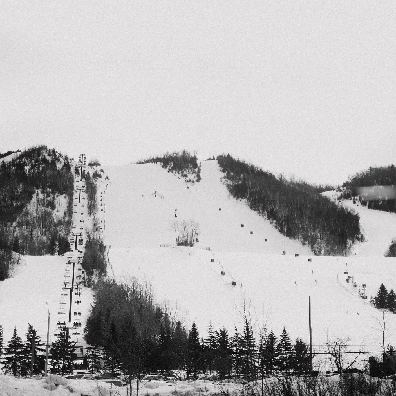 In the heart of the Blue Mountains, The Woodrow feels quietly tucked away amount the orchards, while still just a short drive from Collingwood and Thornbury. A setting that feels secluded, yet connected to everything that makes this area special🤍 

