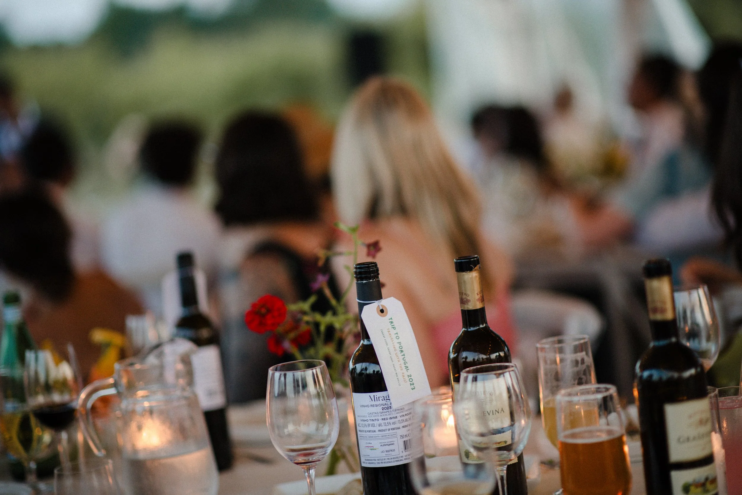 spywedding-438.jpg