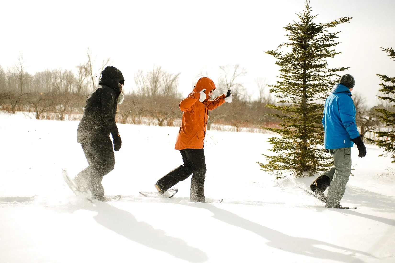 snowshoe-18.jpg