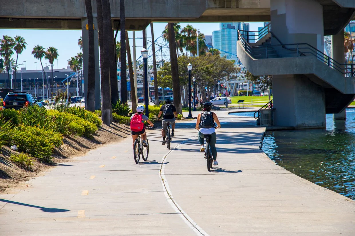 People biking on path near water