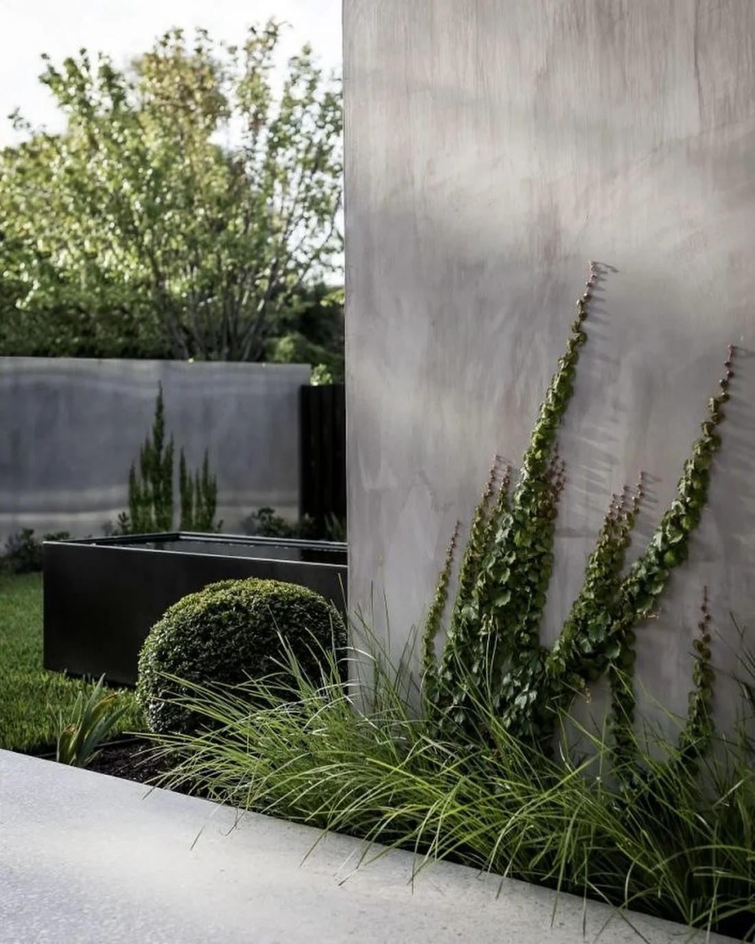 Lime plaster is great for the planet! It has a significantly lower carbon footprint than other alternatives. Lime plaster takes in carbon dioxide over time, which helps the environment. It also has low VOCs, making indoor air cleaner. Plus, it helps 