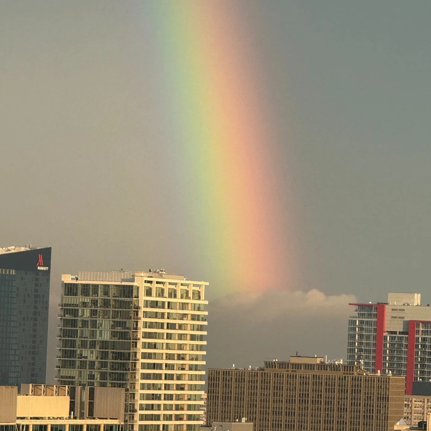 No.8 is now live on Substack.

"A Rainbow in a Grayscale World."

It's been a heavy week in the world. What's happening in Minneapolis reflects a pattern we've seen before: cruelty disguised as order, people flattened into categories, diffe