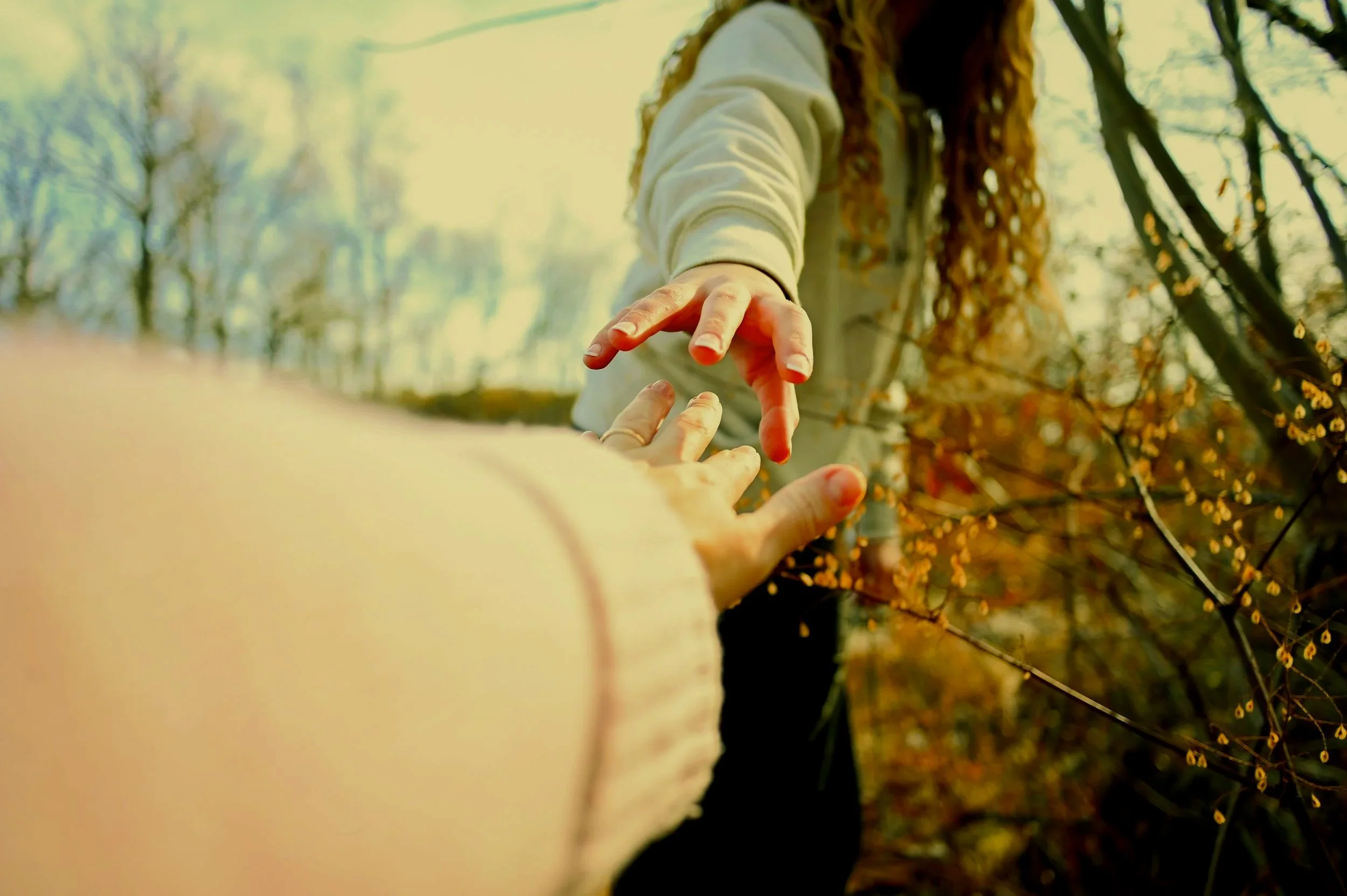 A person reaching out with their hand to another person in an outdoor setting surrounded by trees with yellow leaves.