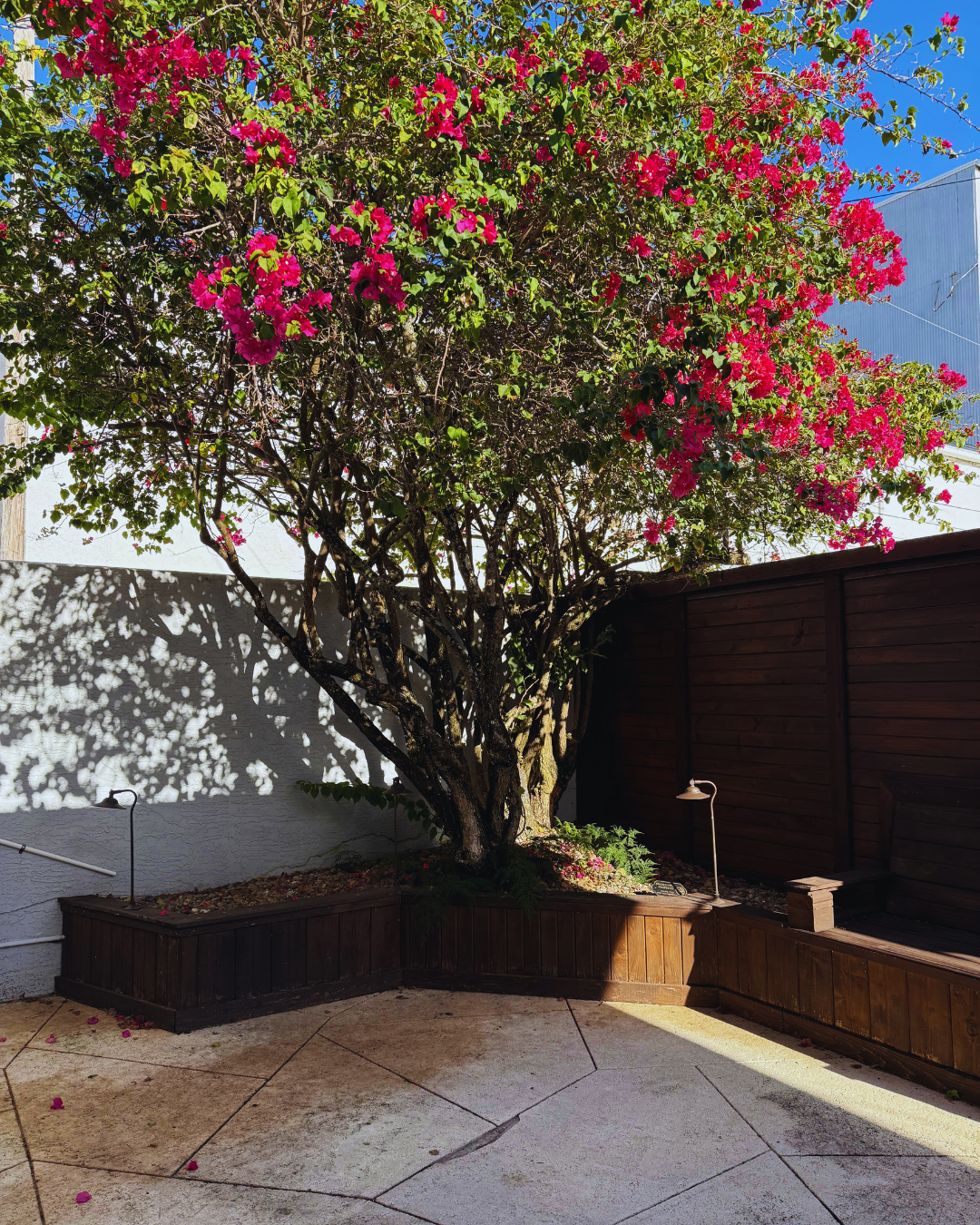 Book The Villea Courtyard