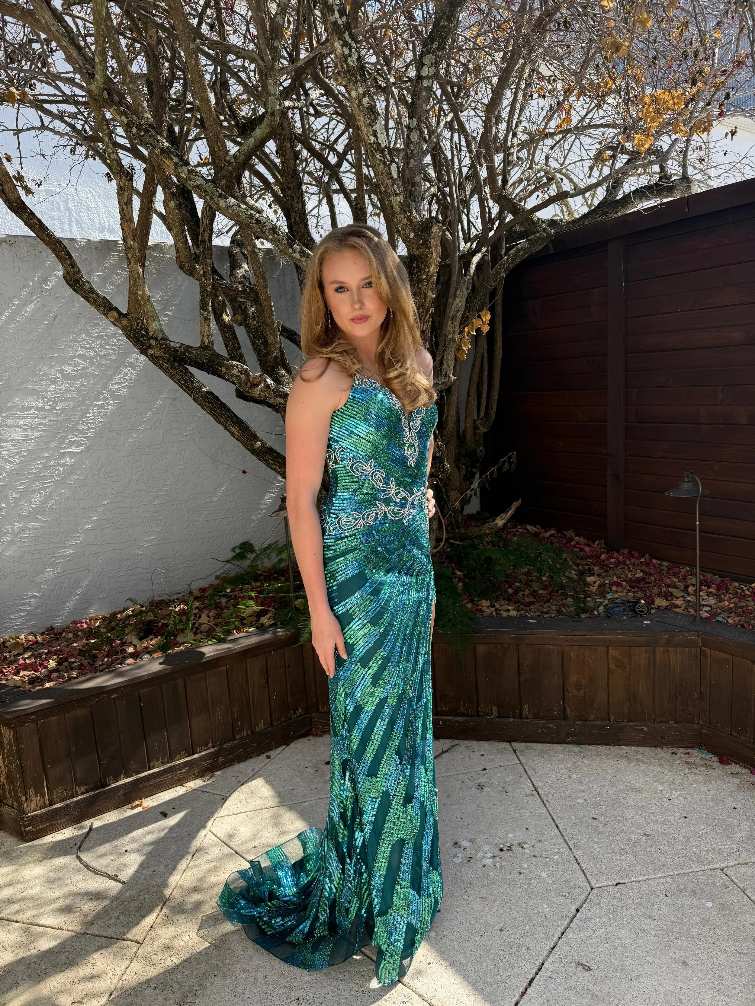 A woman in an elegant, shimmering teal gown with intricate silver embroidery stands outdoors on a patio, with a leafless tree and a wooden fence behind her.