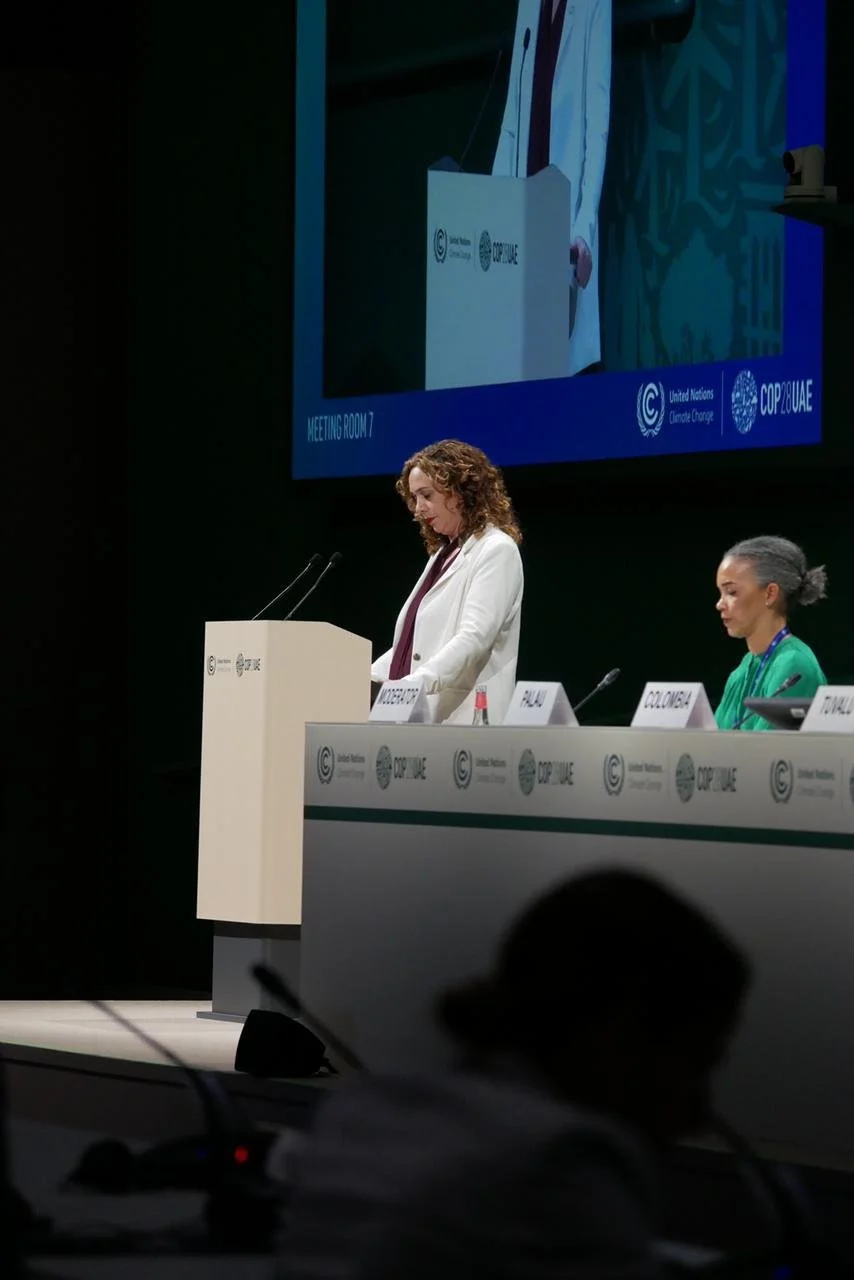 COP28_HLPE_44.jpeg