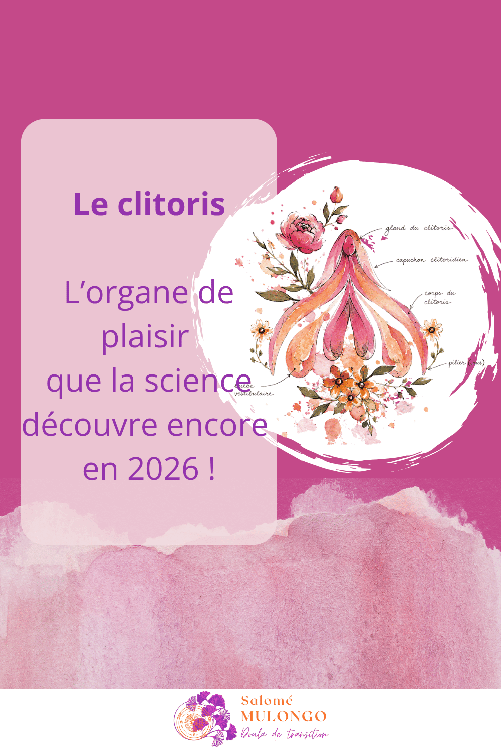 Le clitoris : l’organe du plaisir que la science découvre encore en 2026 !