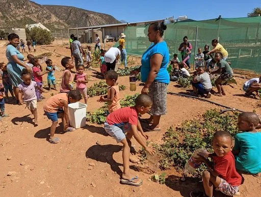 Die Kinder der Heuwel Speelskool pflanzen Gemüse im gemeinsamen Garten.