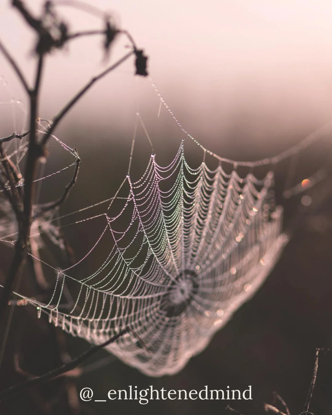 Self-Care Sunday: Clear Out the Mental Cobwebs

Your mind collects cobwebs too &mdash; old fears, looping worries, dusty to-do lists. 🕸️

Take a moment today to sweep them out:
💭 Write down what&rsquo;s been cluttering your head.
💨 Breathe deeply.