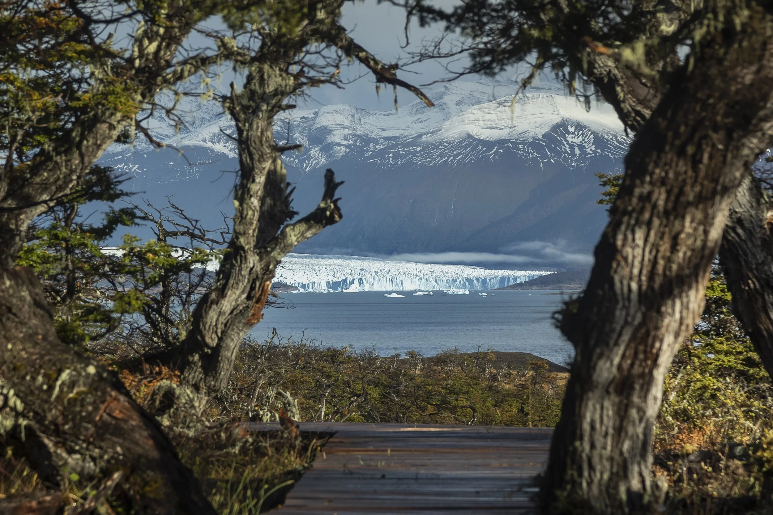 glaciar.jpg