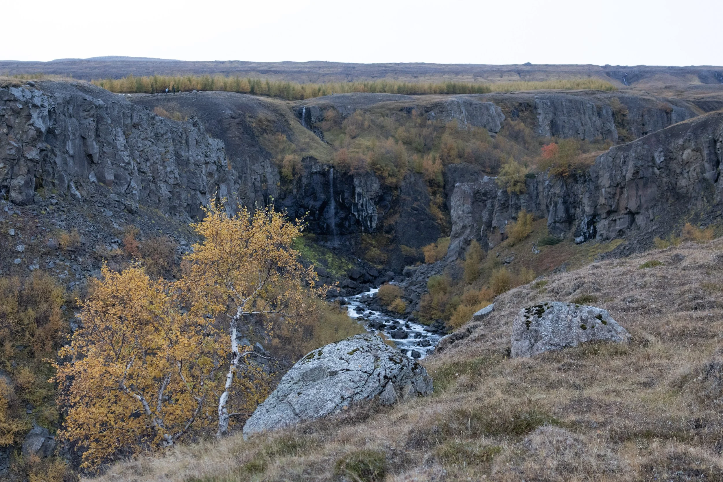 A rugged canyon landscape with steep rocky cliffs, a small waterfall, and a stream flowing through the valley. Autumn trees with yellow and orange leaves are visible, along with grassy terrain and large boulders in the foreground.