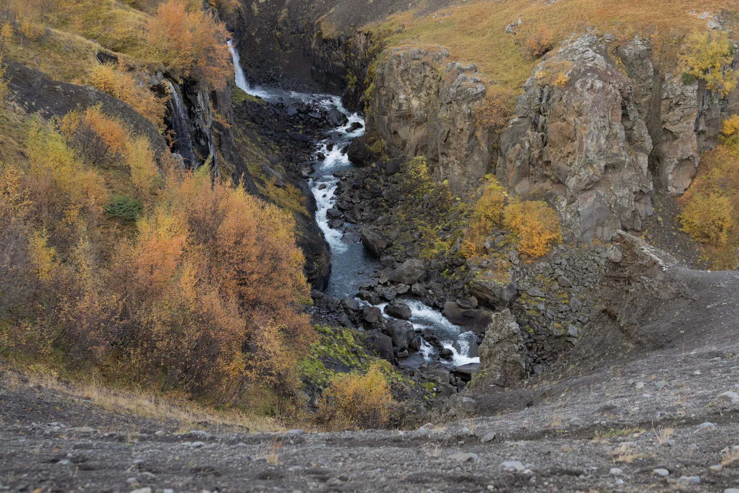 A rugged canyon with a flowing mountain stream, surrounded by colorful fall foliage and rocky cliffs.