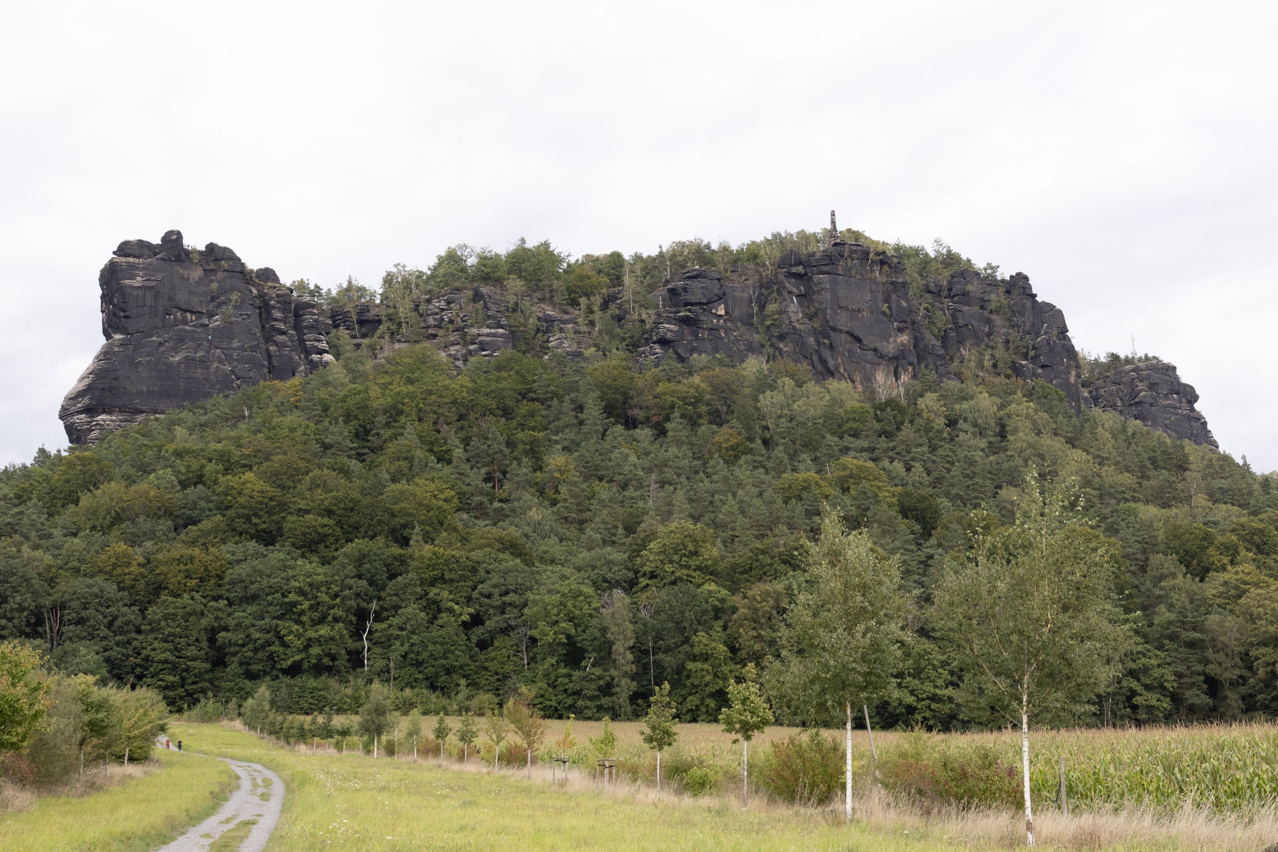 A scenic landscape featuring a large rocky hill covered with green trees and vegetation, with a cloudy sky overhead. A small dirt path runs through a grassy field with young trees along it in the foreground.