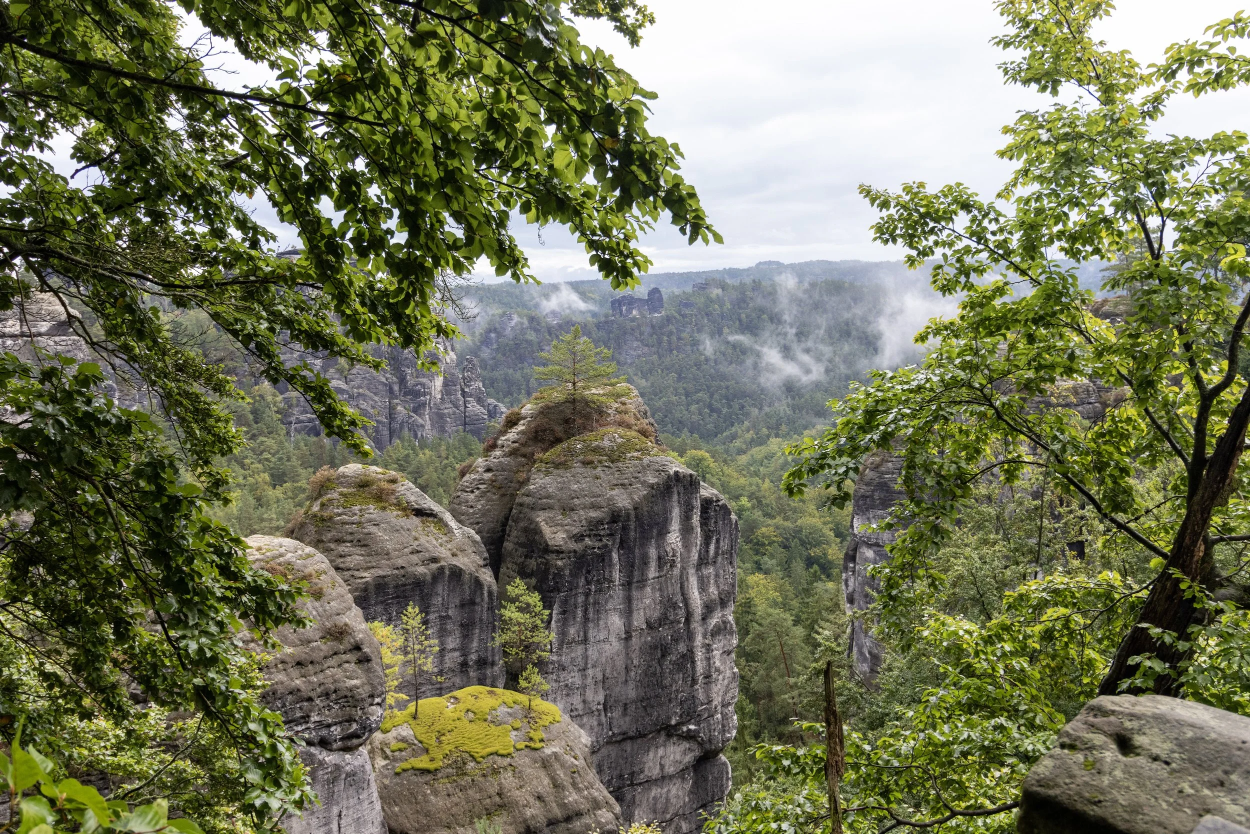 View of a lush green forest with large rock formations and mist in the background, framed by tree branches and leaves.