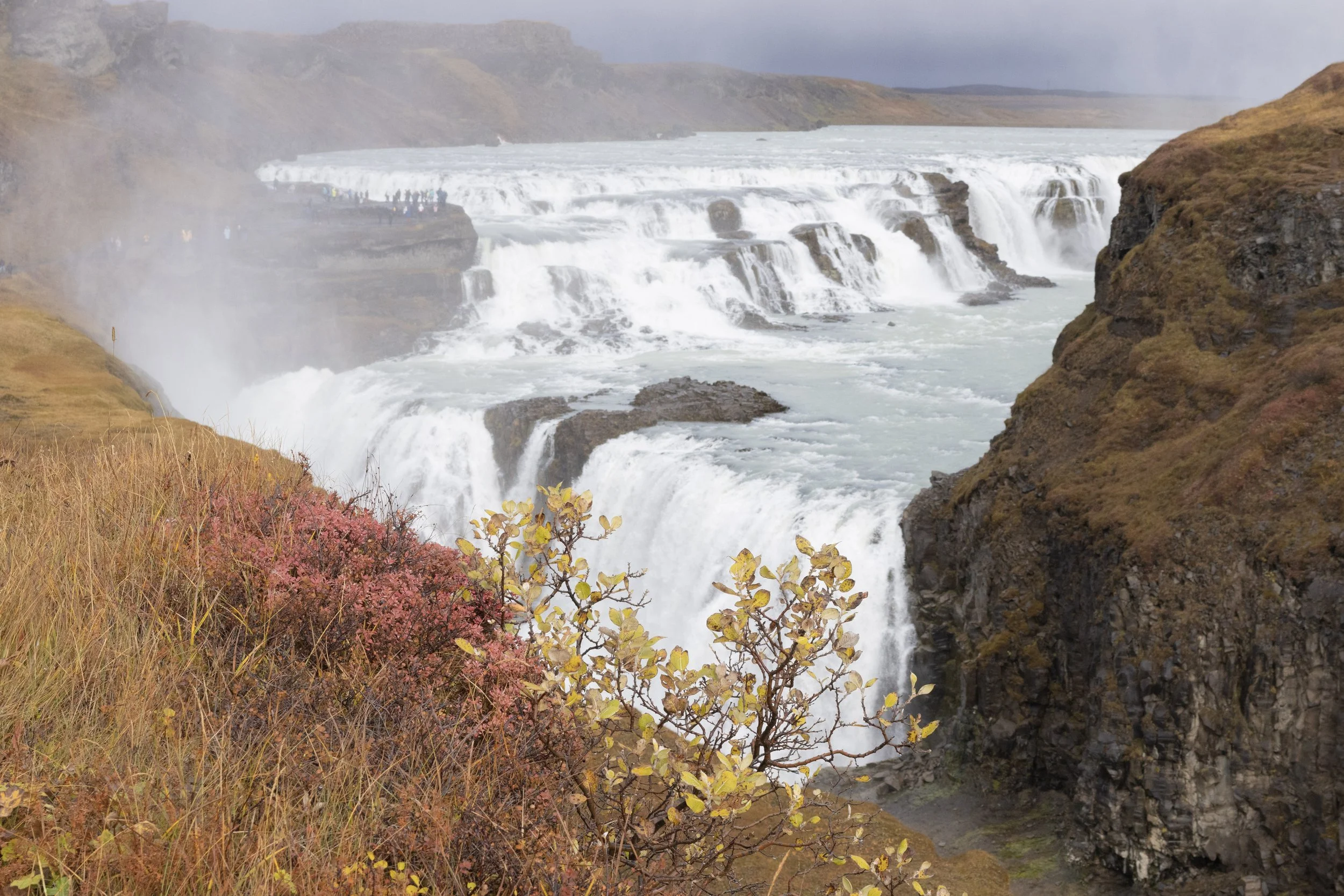 Waterfalls with mist rising, surrounded by grass and rocky cliffs, with pink and green foliage in the foreground.