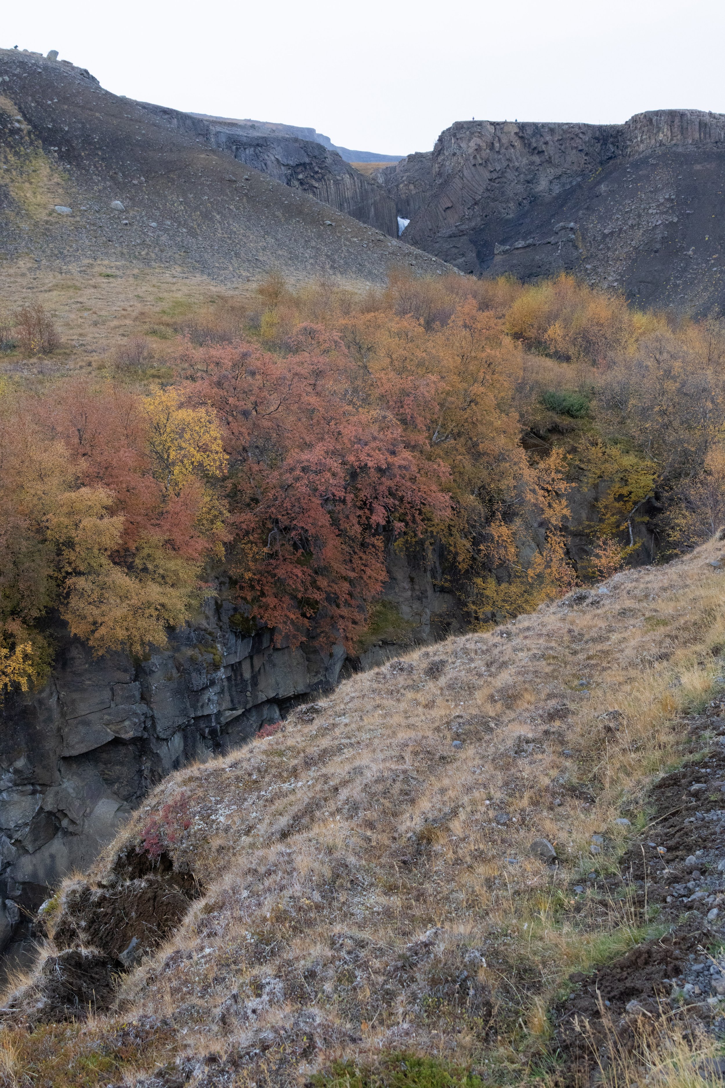 Autumn landscape with colorful trees along a rocky gorge and mountainous background.