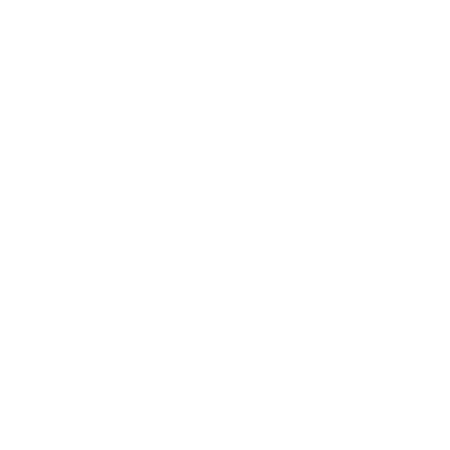 Pickle Ball Court Amenity Icon