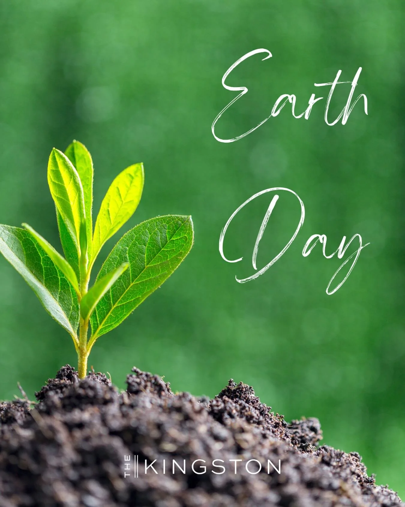 Happy Earth Day 🌎💚
Today (and every day), we&rsquo;re reminded how important it is to take care of the place we all call home. From small everyday choices to the spaces we create, every little bit makes a difference 🌱✨
Here&rsquo;s to greener livi