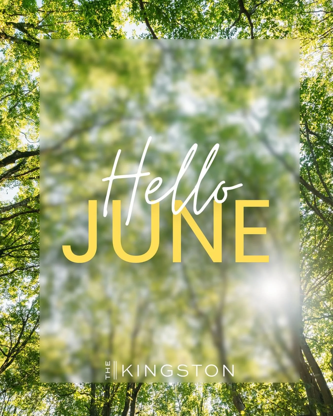 Hello June ☀️✨
A new month, a fresh start, and more moments to enjoy where you live. Here&rsquo;s to sunny days, warm evenings, and making the most of summer ahead. 🌿