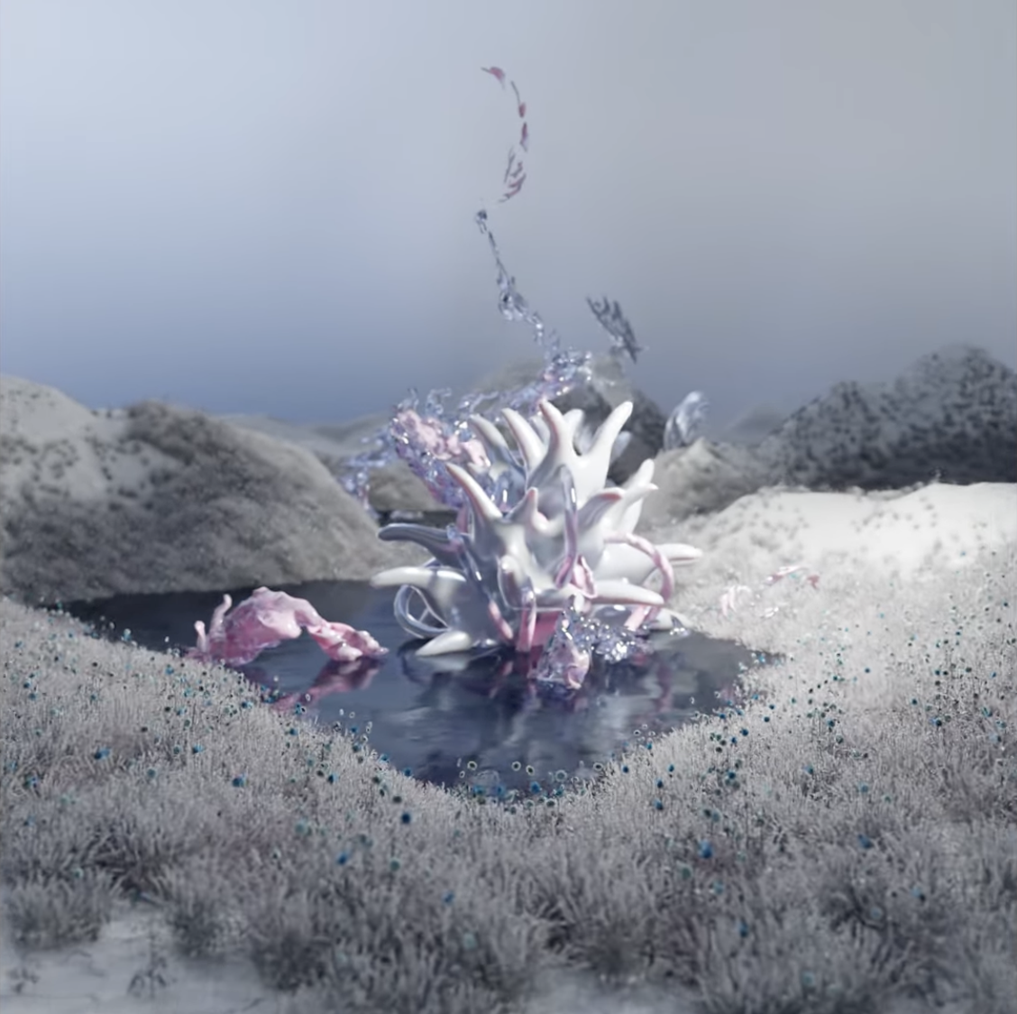 Co:Creation