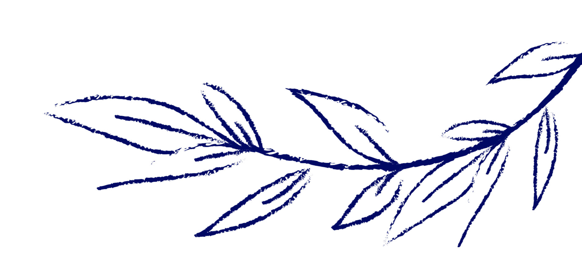 Illustration of a branch with elongated leaves outlined in blue on a black background.