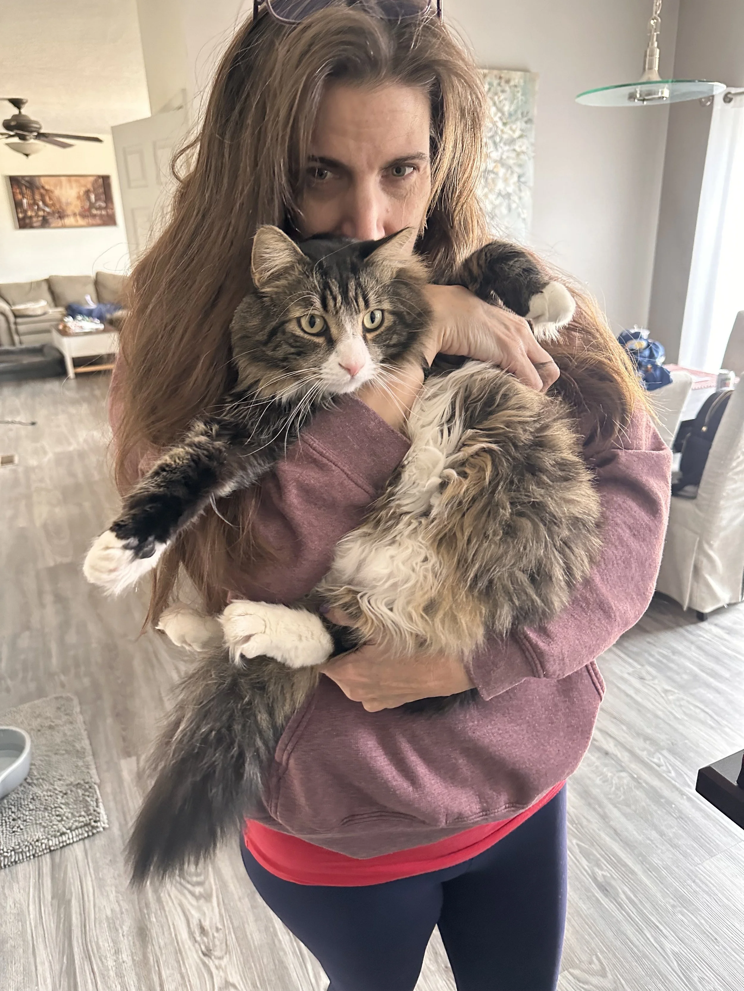 Author J L Jackola holding a large fluffy tabby cat with white paws indoors in a living room.