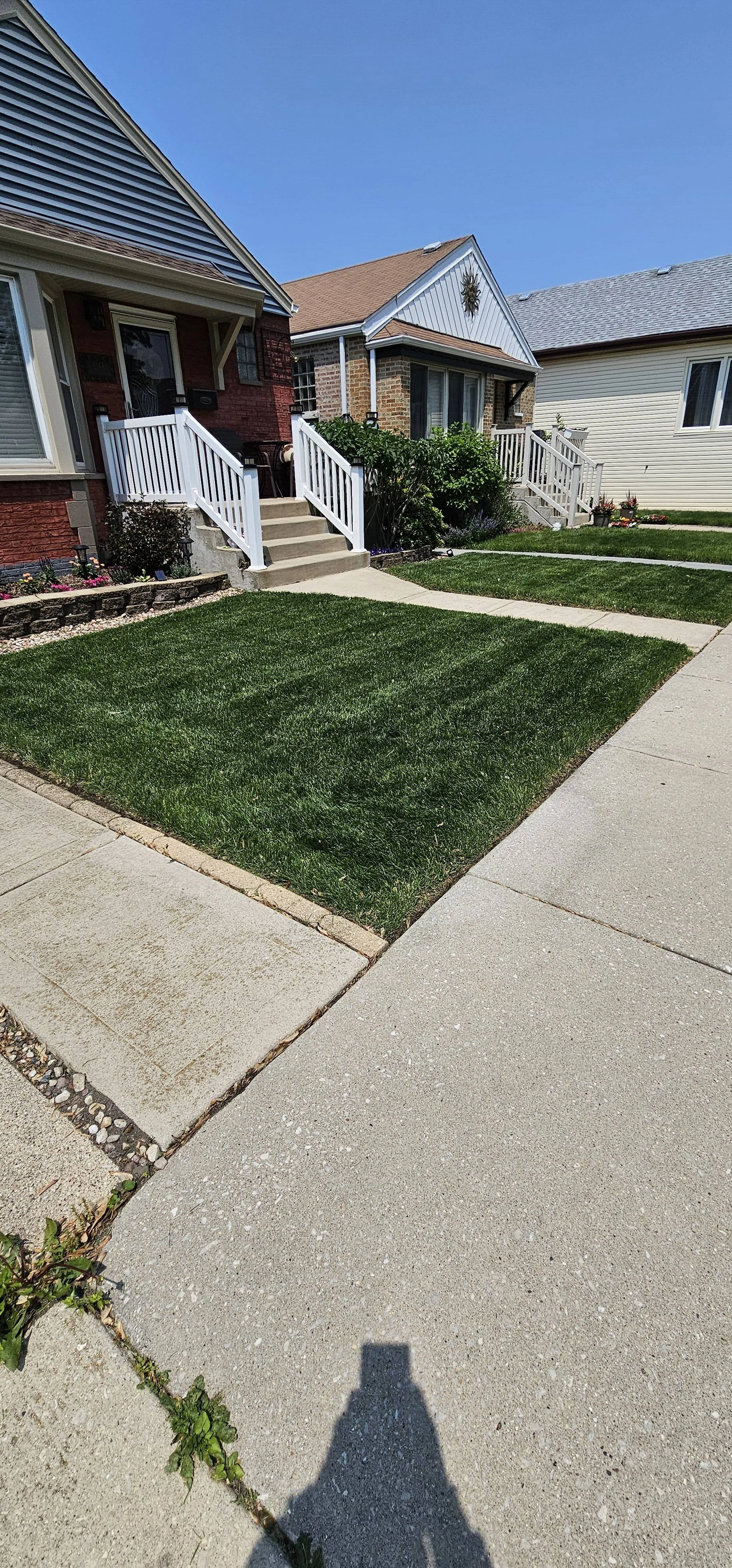 reliable-lawn-care-company-lawn-care-lemont