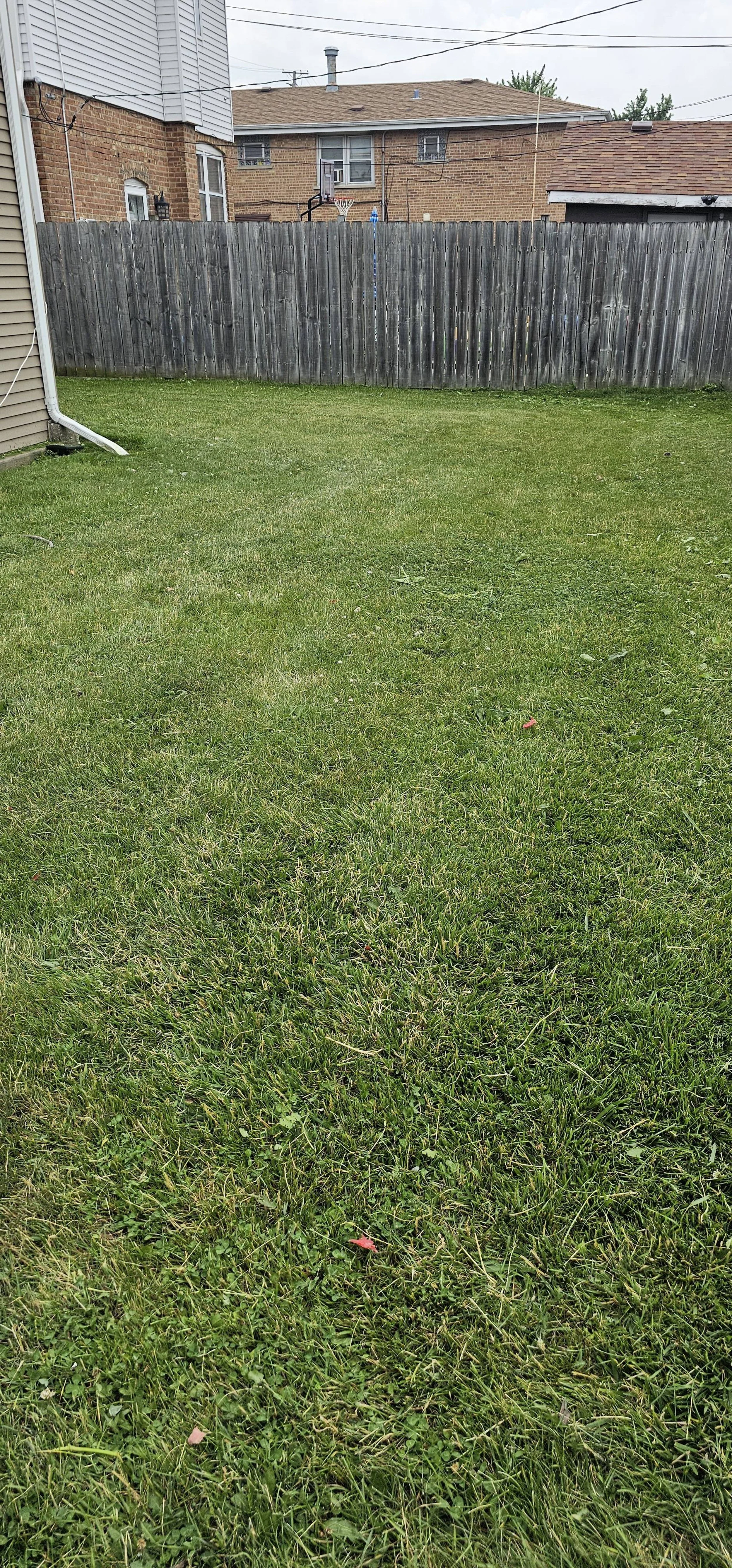 lawn-care-company-near-me-chicago-ridge-affordable-lawn-maintenance