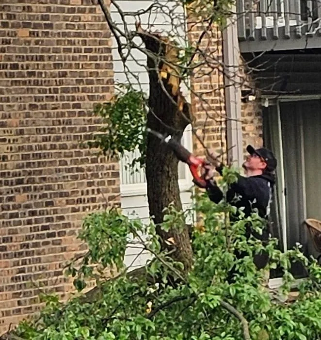 reliable-lawncare-chicago-bush-hedge-trimming-trimmer-alsip-tinley-worth-burbank-palos-heights-commerical-residential-property-near-me