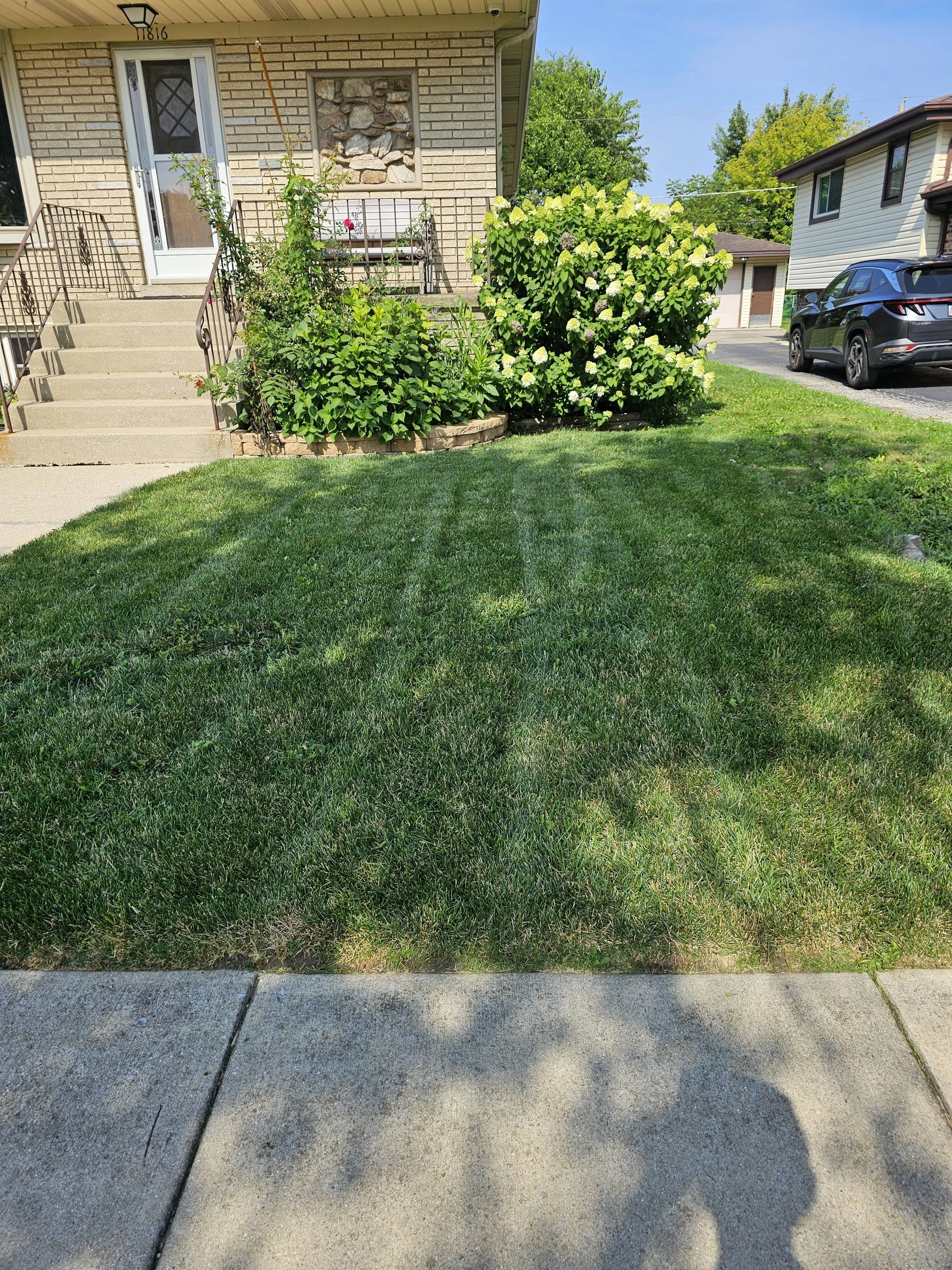 reliable-lawn-care-near-lemont-il