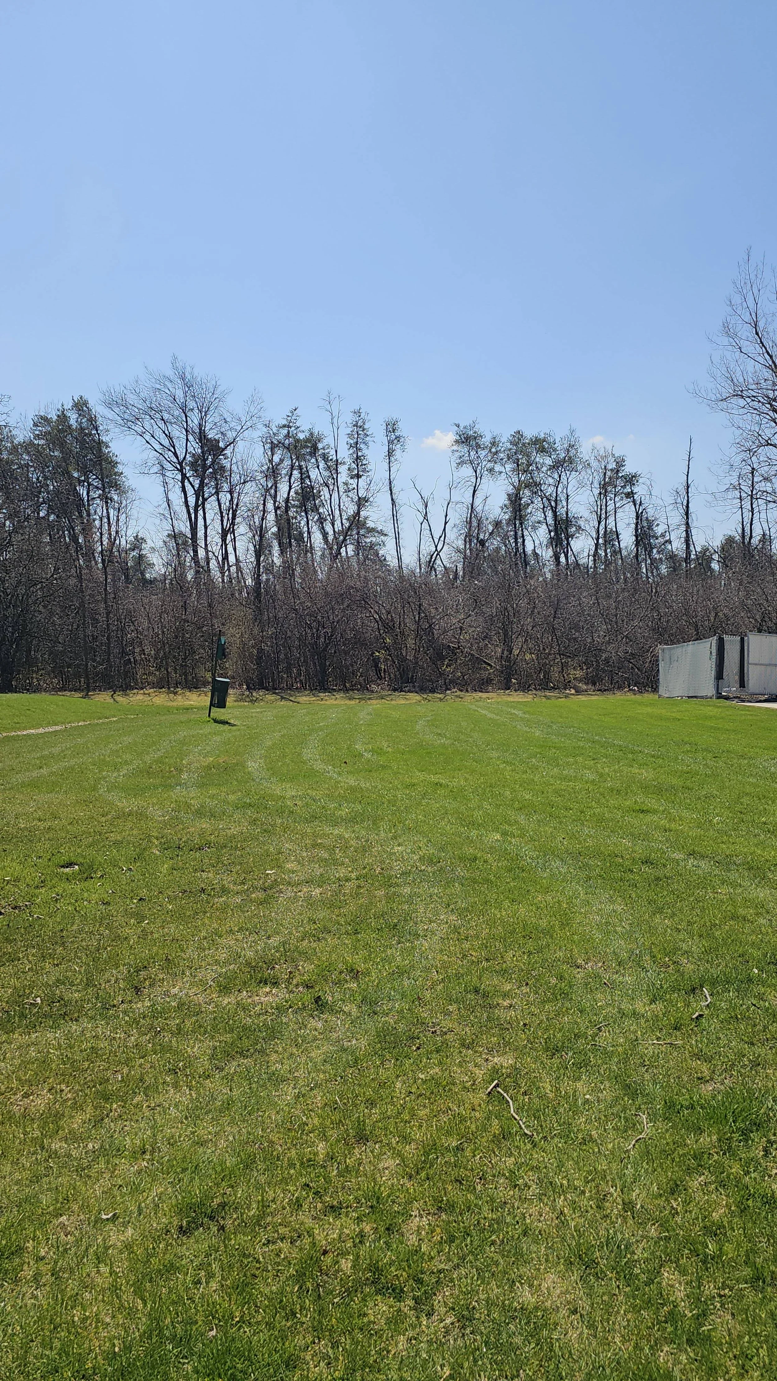 reliable-lawn-care-lawn-service-westlawn