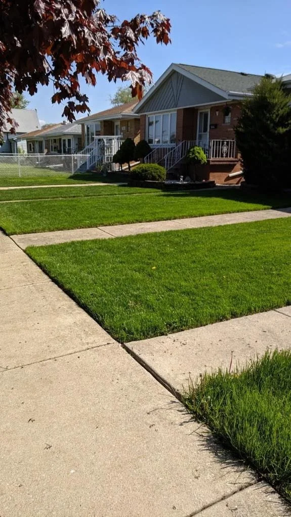 chicago area residential and commercial landscaping company near me