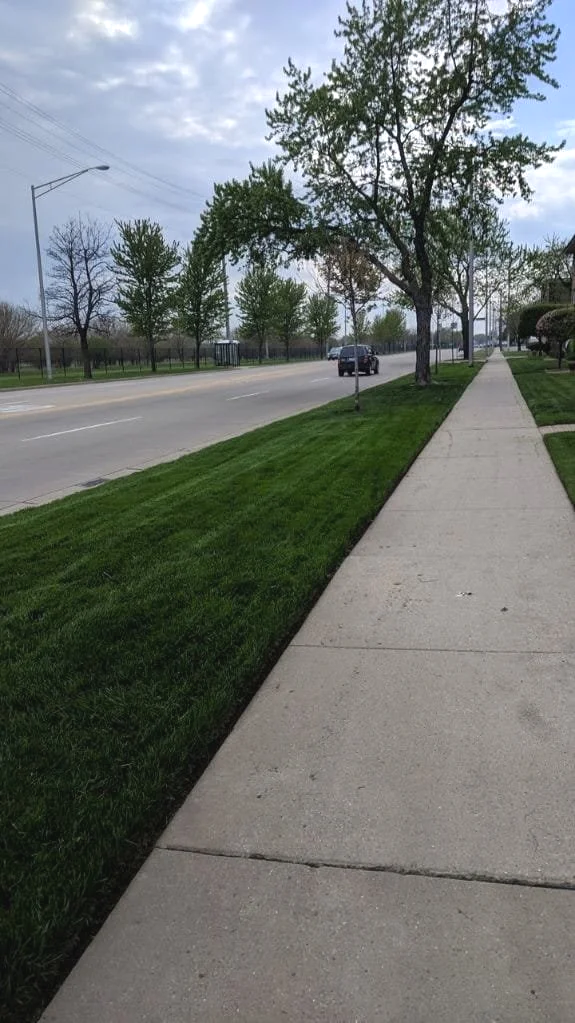 commercial lawn care chicago ridge
