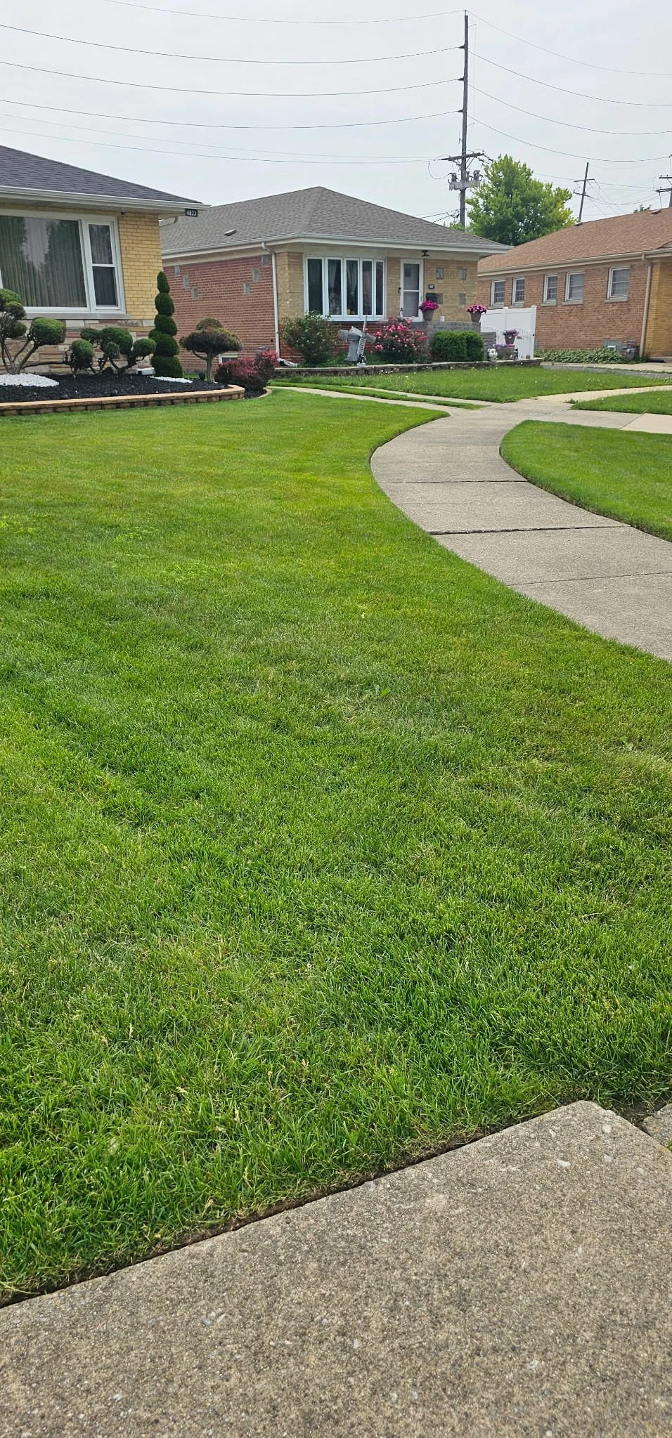 best-lawn-care-company-service-chicago-ridge-il
