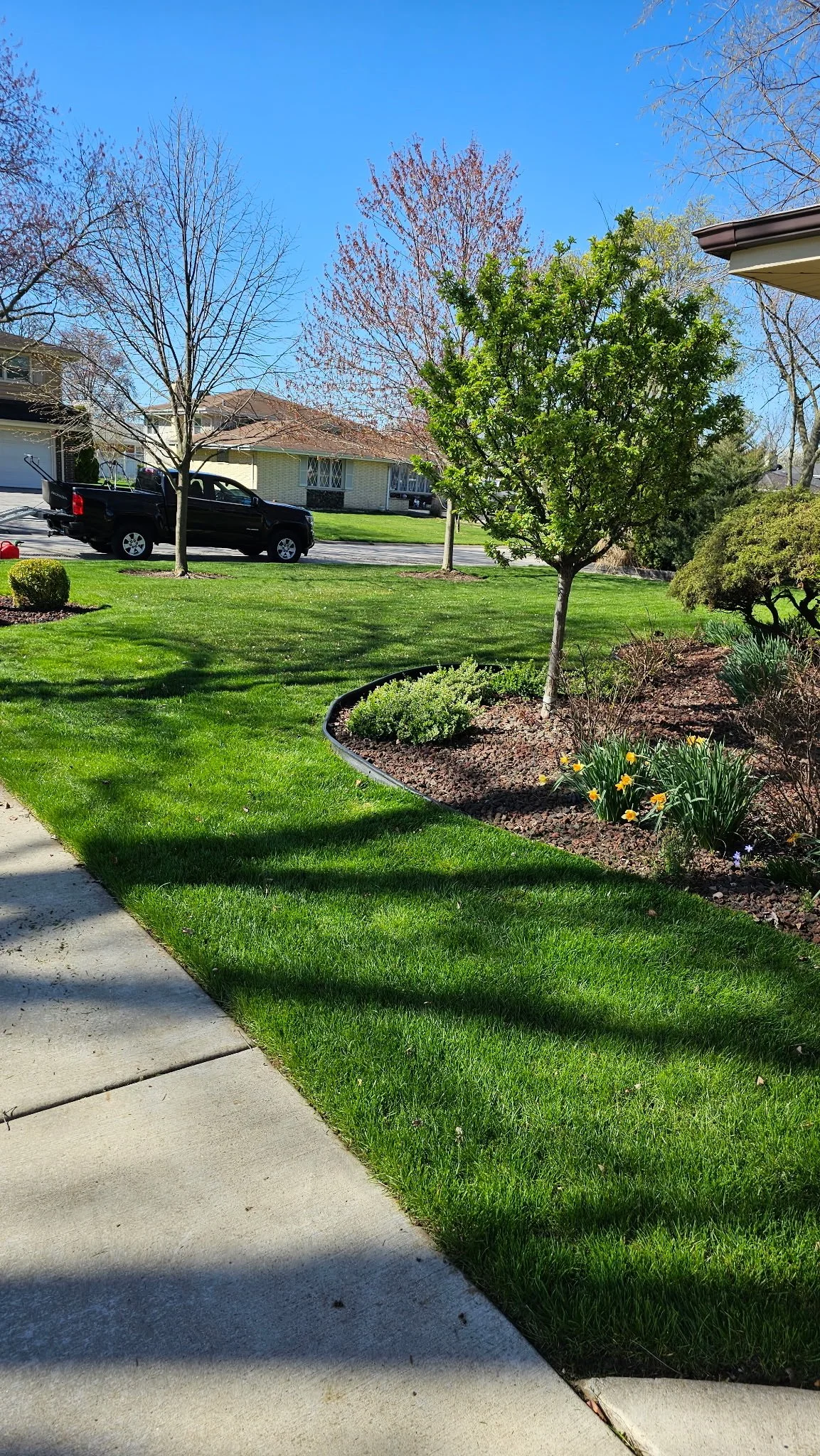 A residential front yard with well-maintained green grass, trees, and flowering plants. A sidewalk runs along the left side, and houses and parked cars are visible in the background under a clear blue sky.
