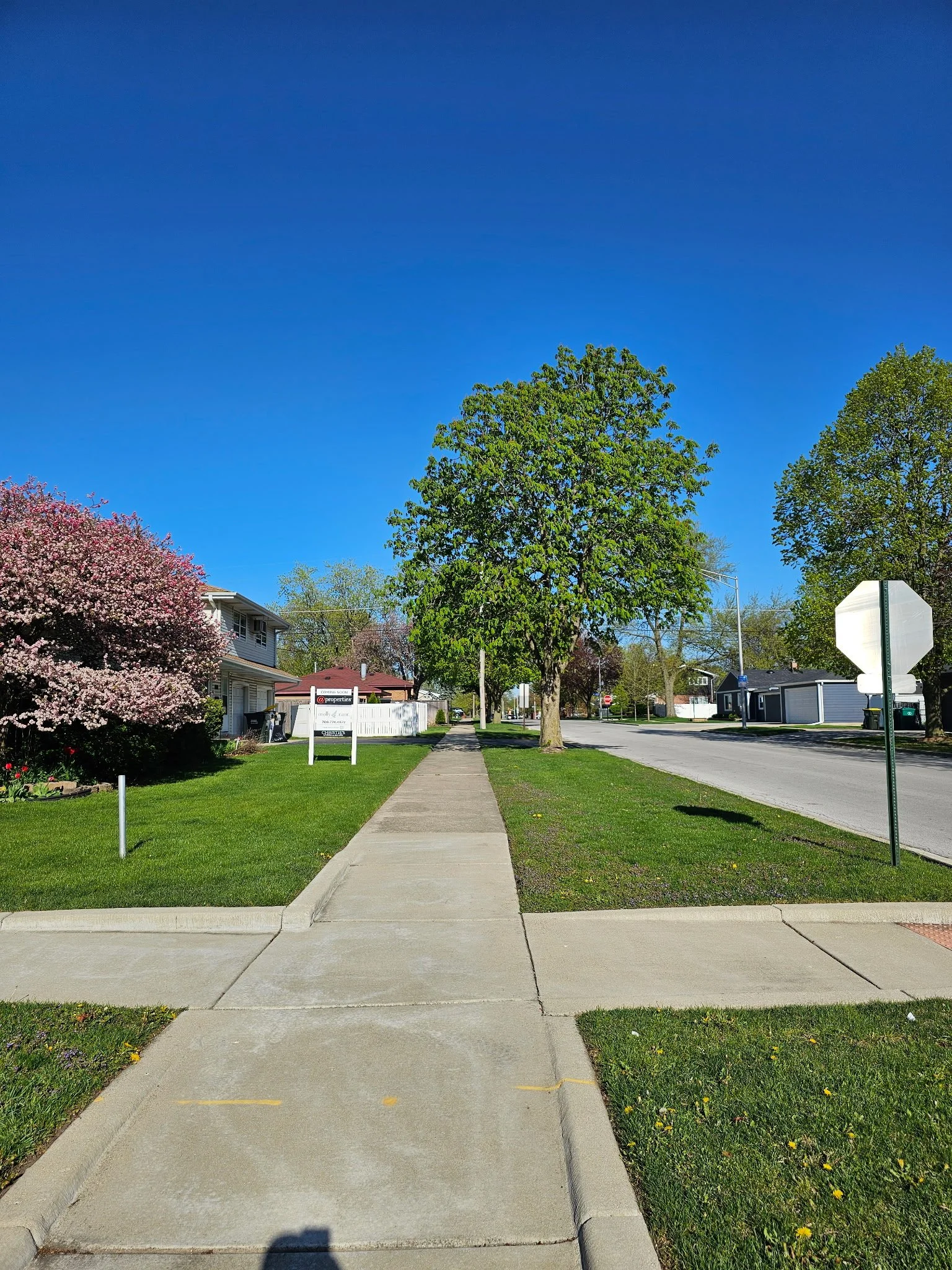 A sidewalk running through a residential neighborhood with trees, grass, and houses on either side, under a bright blue sky.