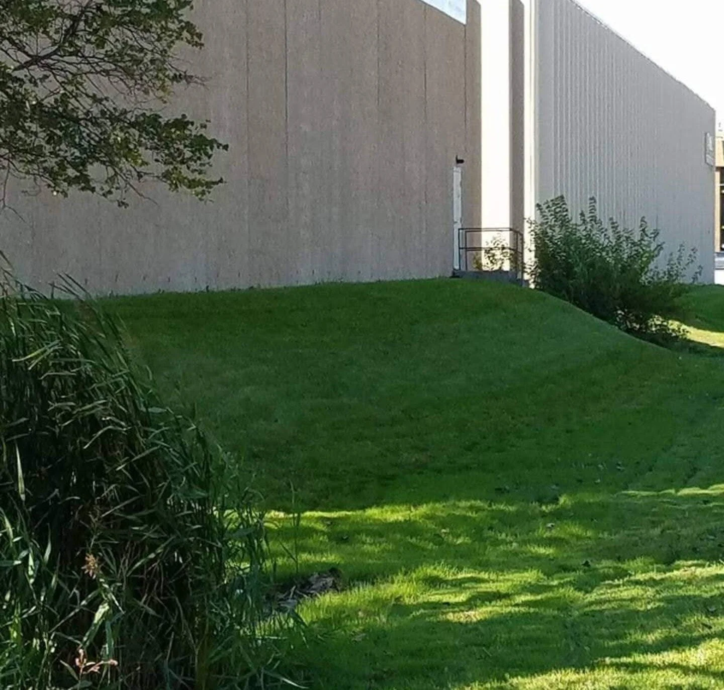 best-lawn-care-company-near-me-lemont