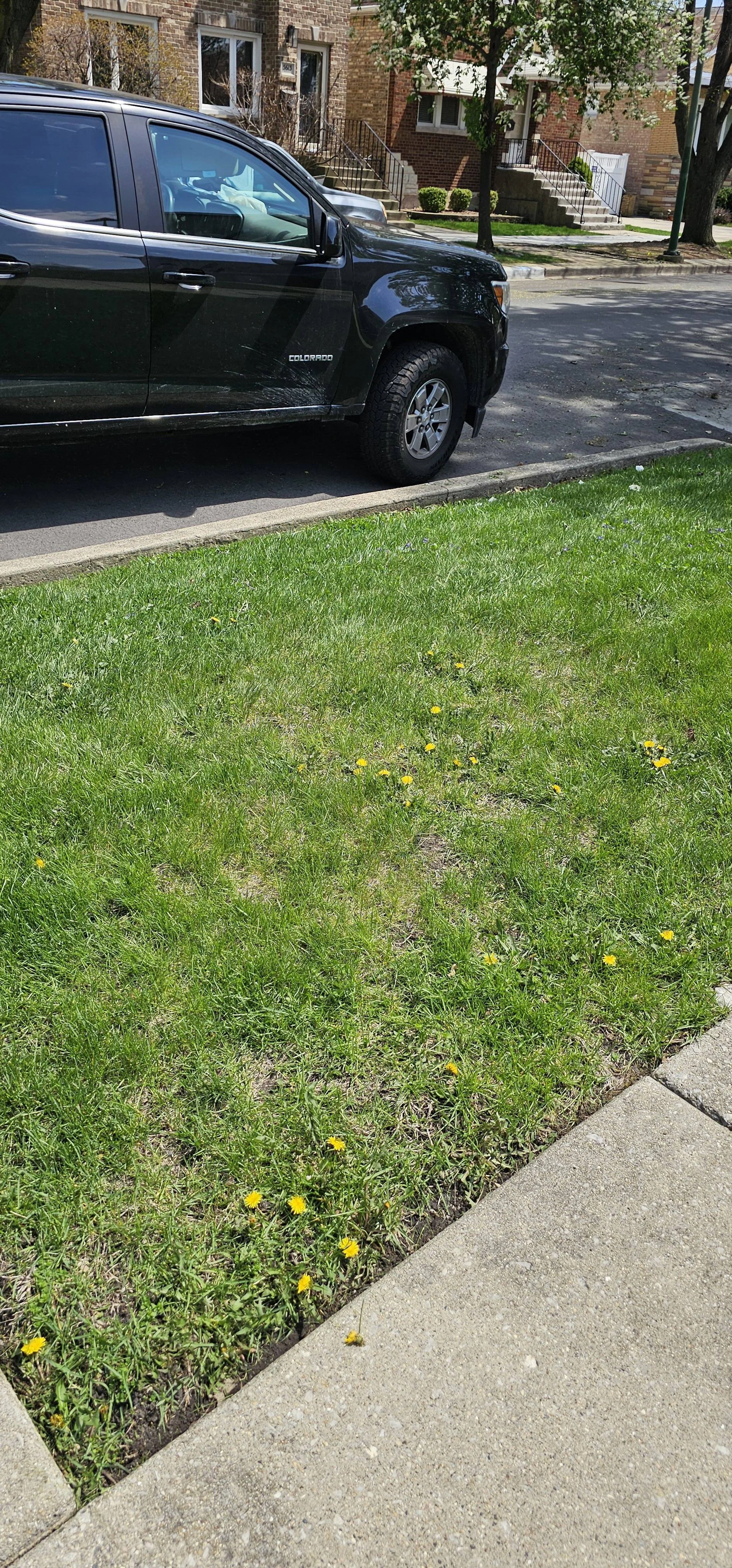 reliable-lawn-care-landscaping-alsip