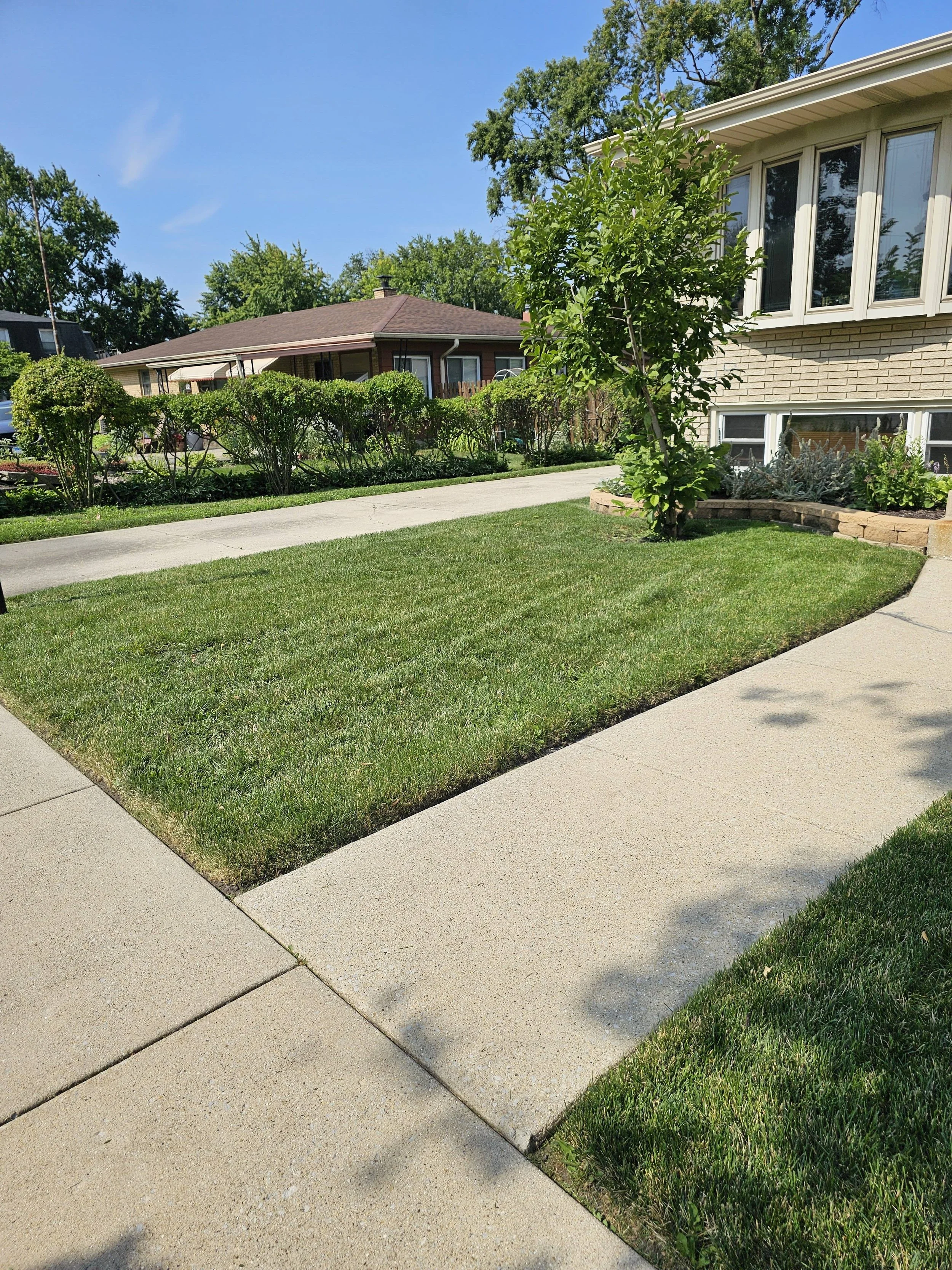 reliable-lawn-care-residential-snow-plowing-palos-heights