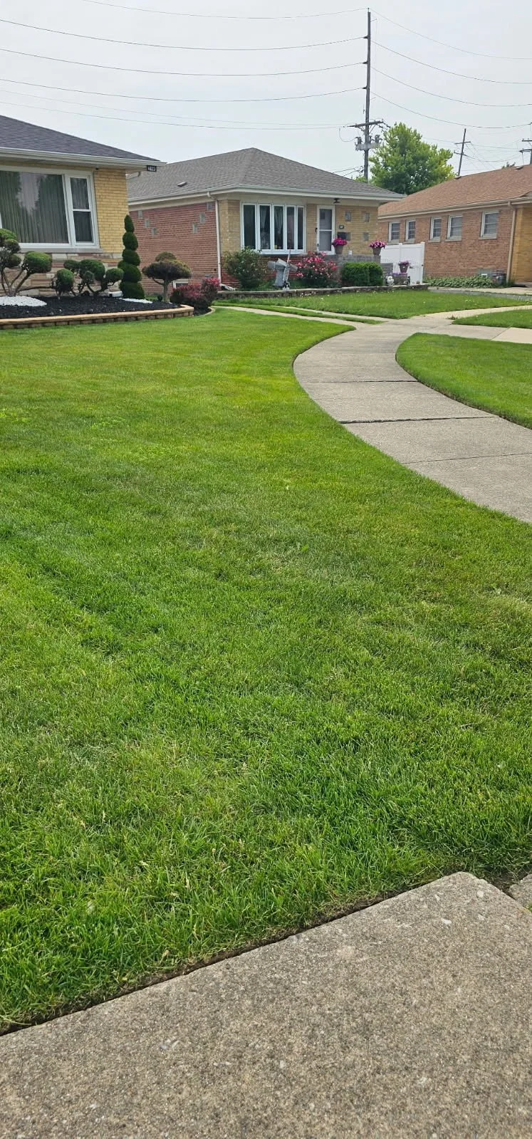 commercial-residential-landscaping-lawn-company-oak-lawn-near-me.jpg