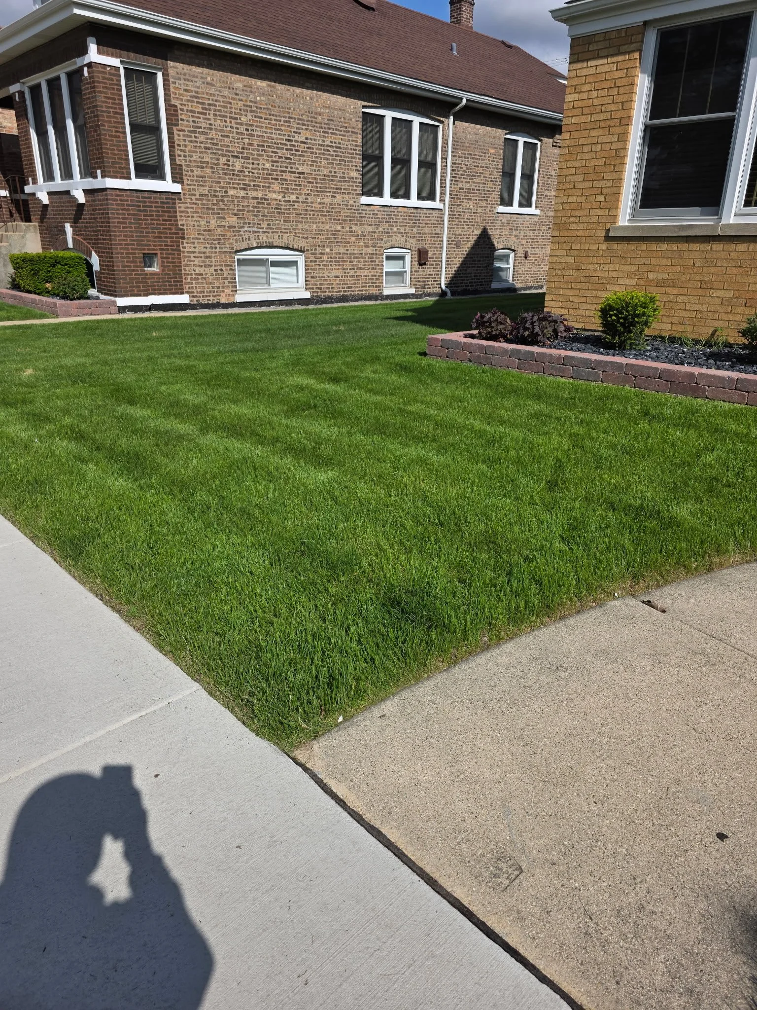 weekly lawn service
