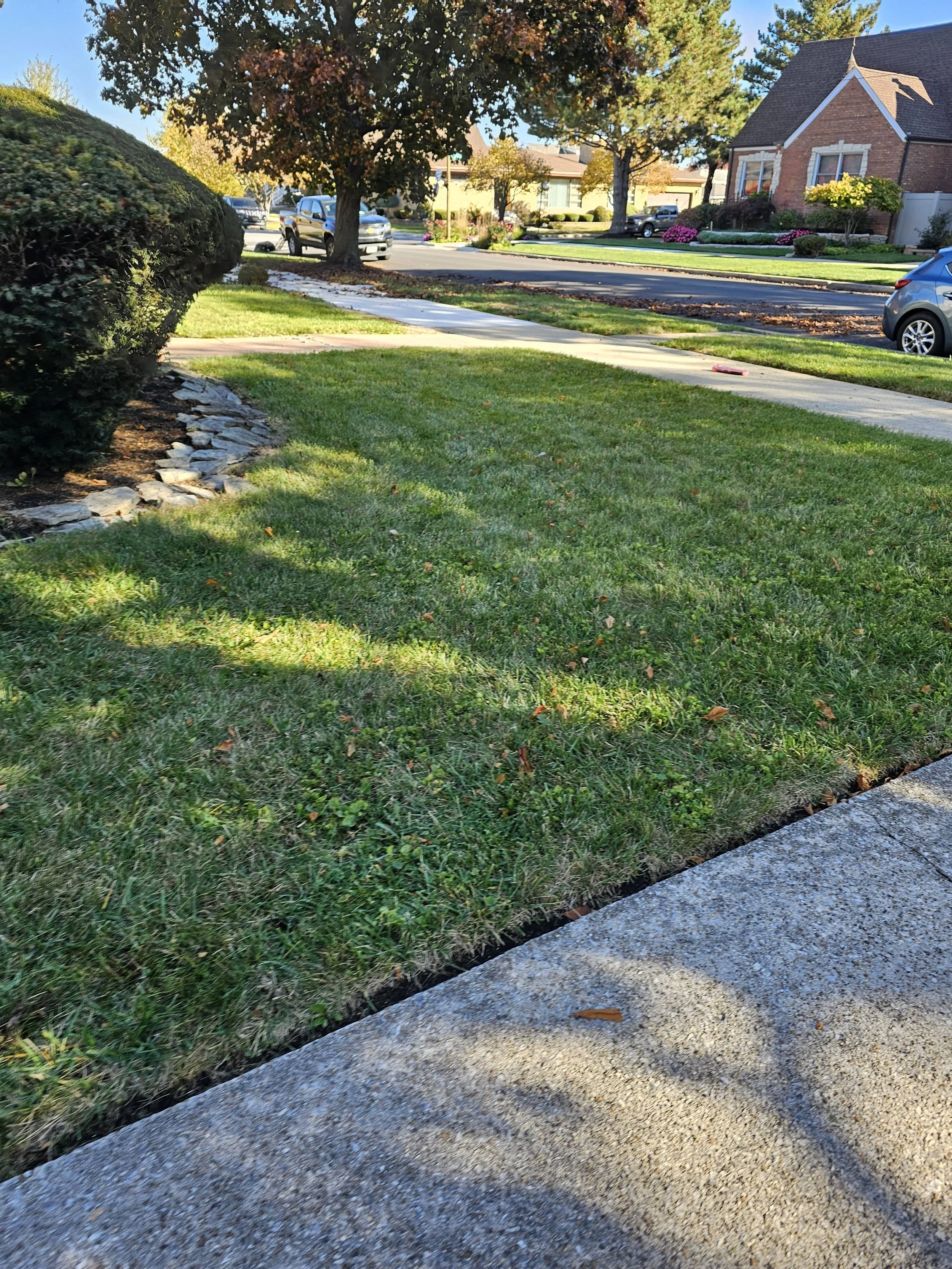 reliable-lawn-care-residential-fertilization-burr-ridge