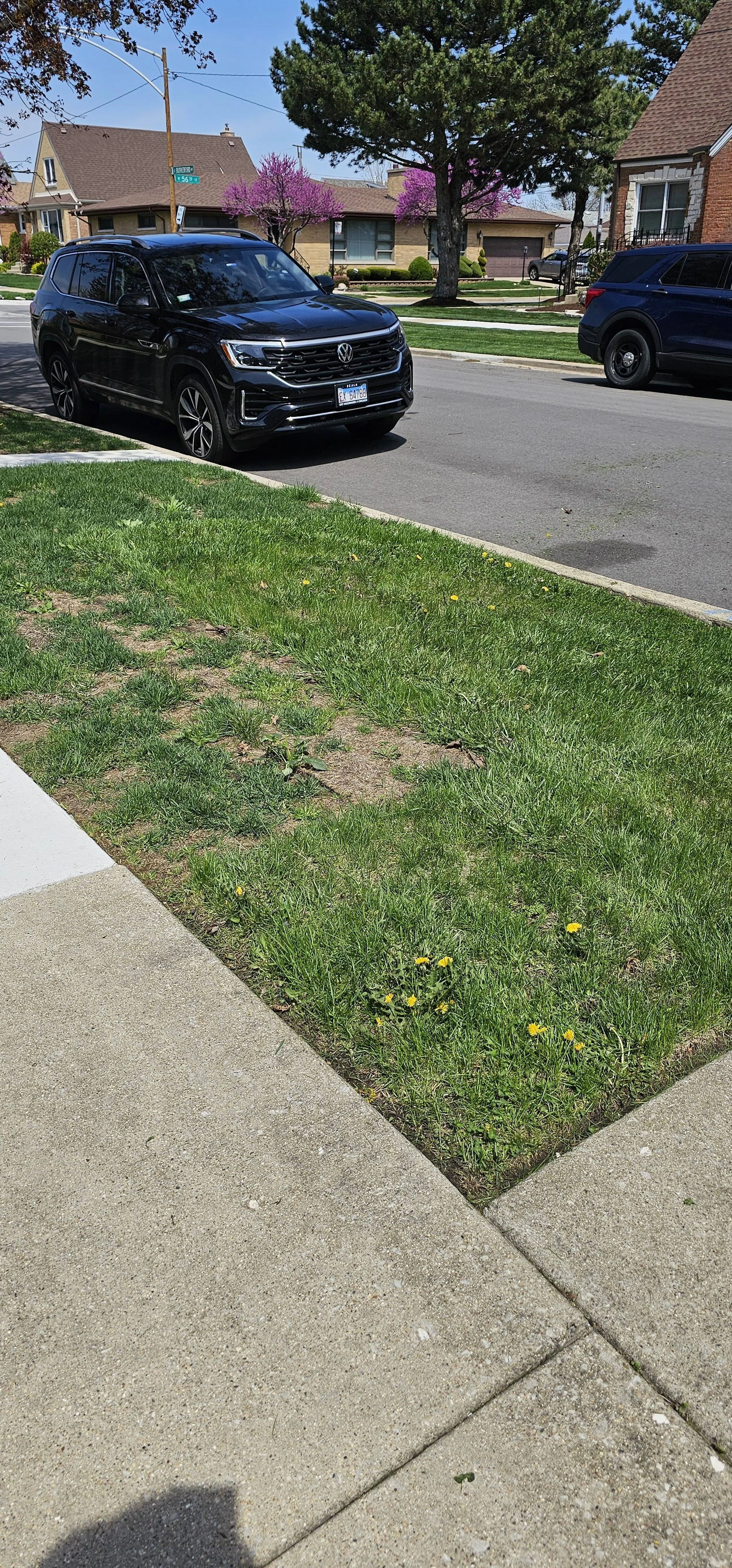 reliable-lawn-care-company-lawn-cutting-oak-lawn