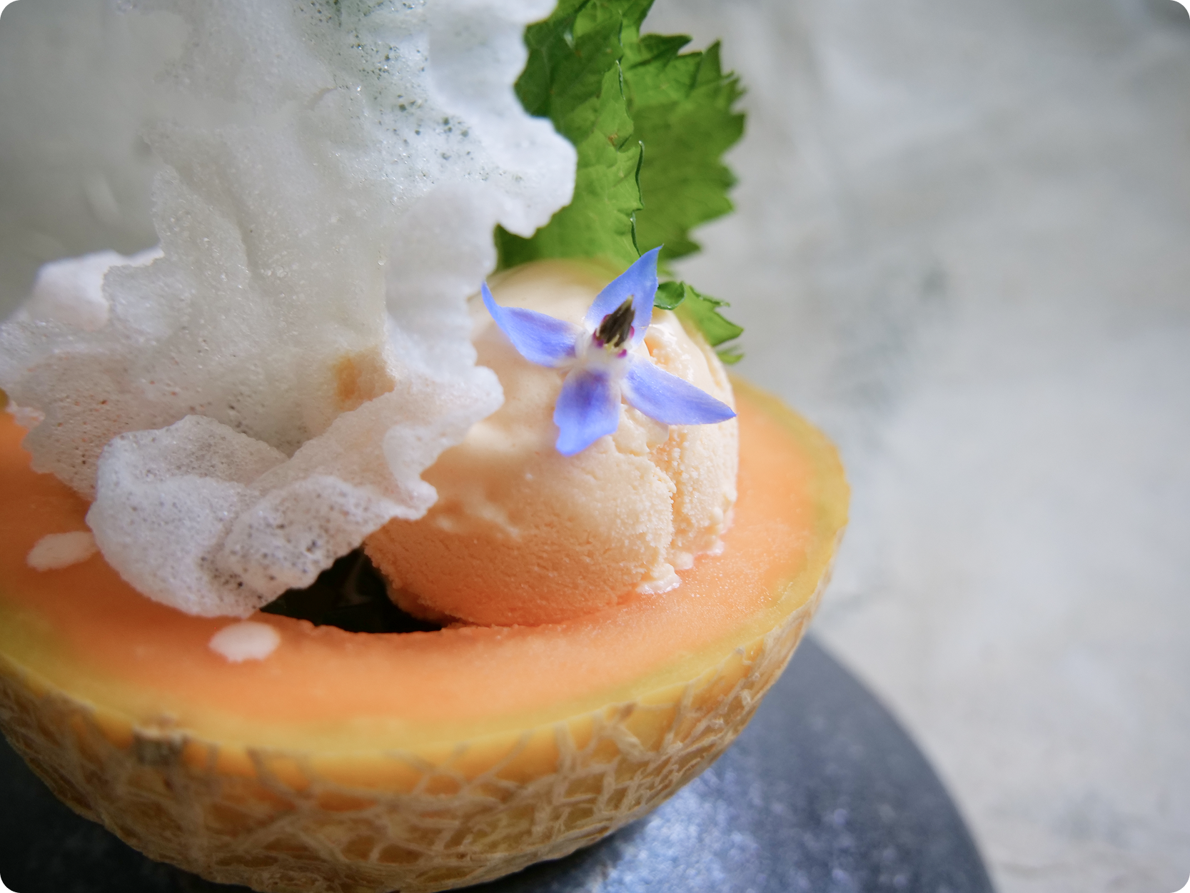 cantaloupe.png