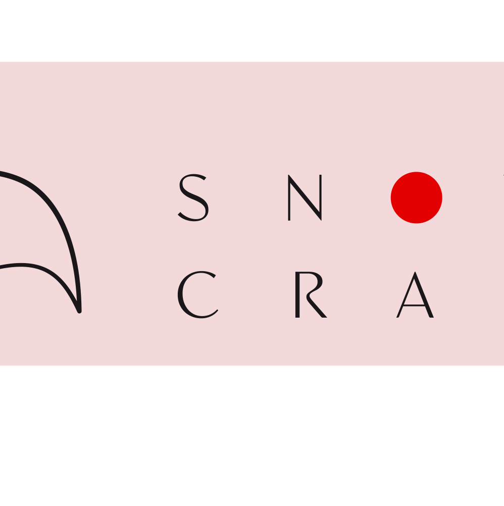 SUMMER DC RESIDENCY 