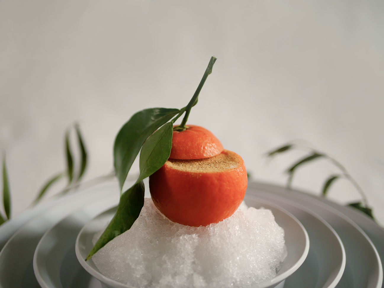 Satsuma mandarin ice cream 1.png