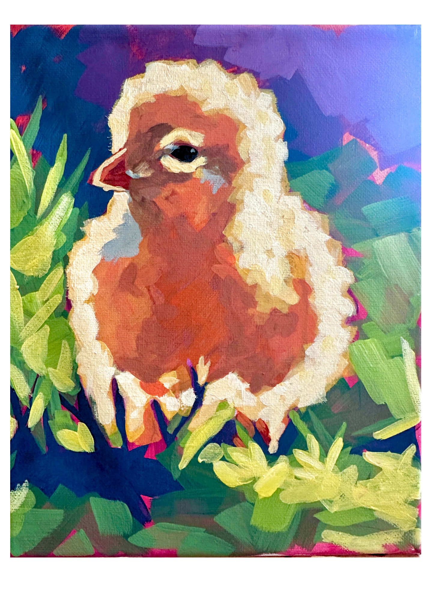 Baby Chick - Print