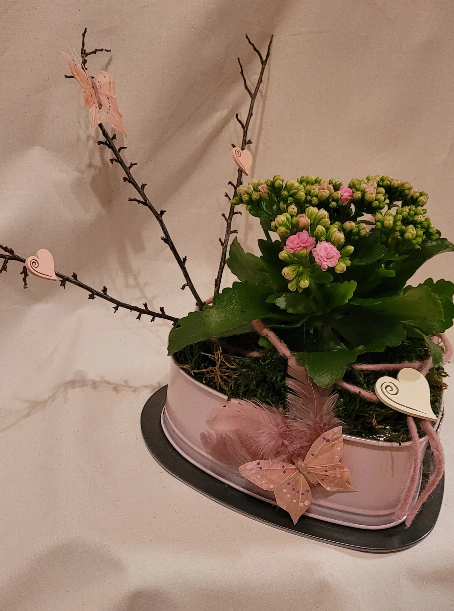 Pflanze in Herzbackform